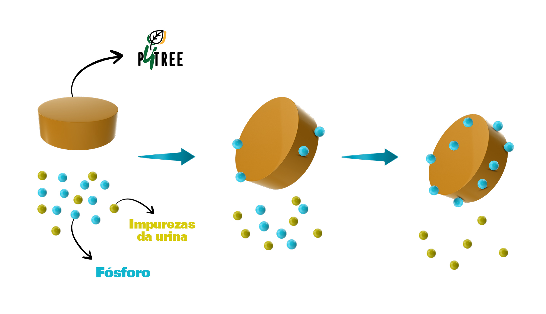 adsorção